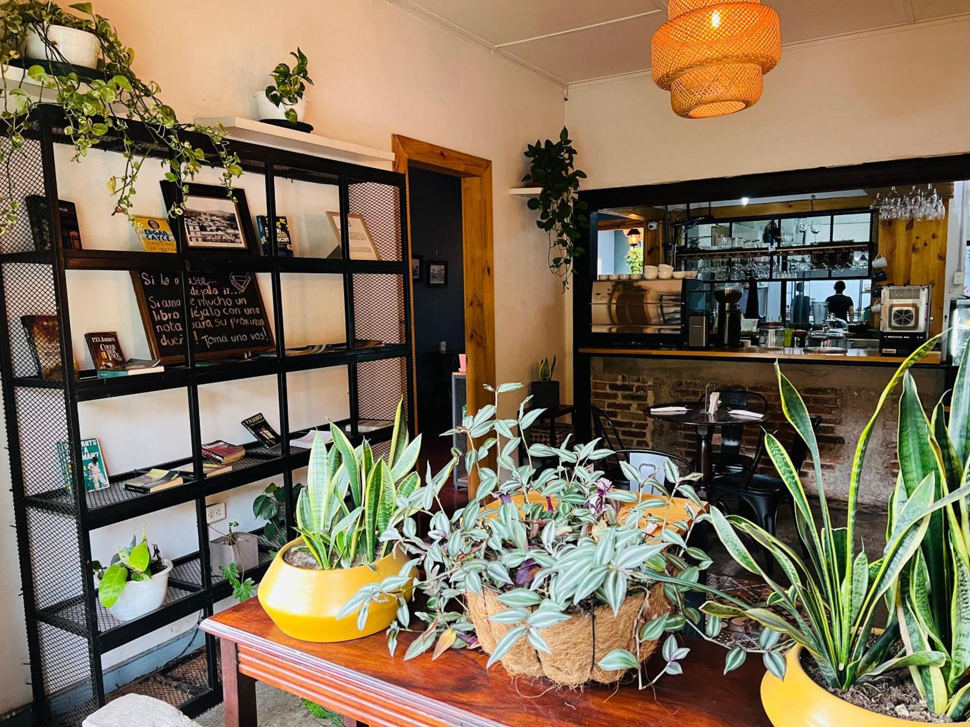 סן חוזה Otoya 1907 Hotel (Adults Only) מראה חיצוני תמונה